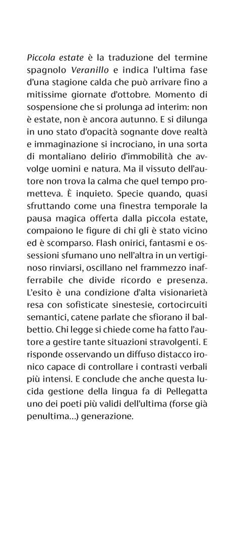 Piccola estate - Alberto Pellegatta - 2