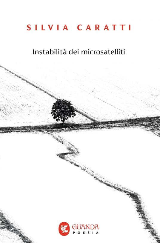 Instabilità dei microsatelliti - Silvia Caratti - ebook