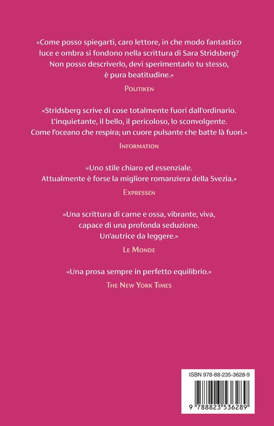 Le nostre estati a Panic Beach - Sara Stridsberg - 5