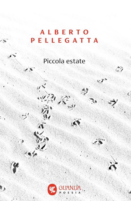 Piccola estate - Alberto Pellegatta - ebook