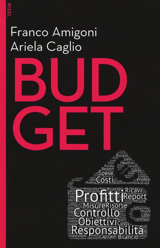Budget. Con Contenuto digitale per download e accesso online - Franco Amigoni,Ariela Caglio - copertina