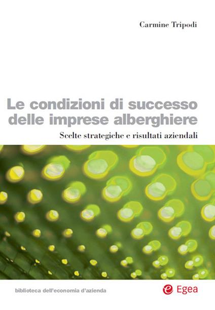 Le condizioni di successo delle imprese alberghiere. Scelte strategiche e risultati aziendali. - Carmine Tripodi - ebook