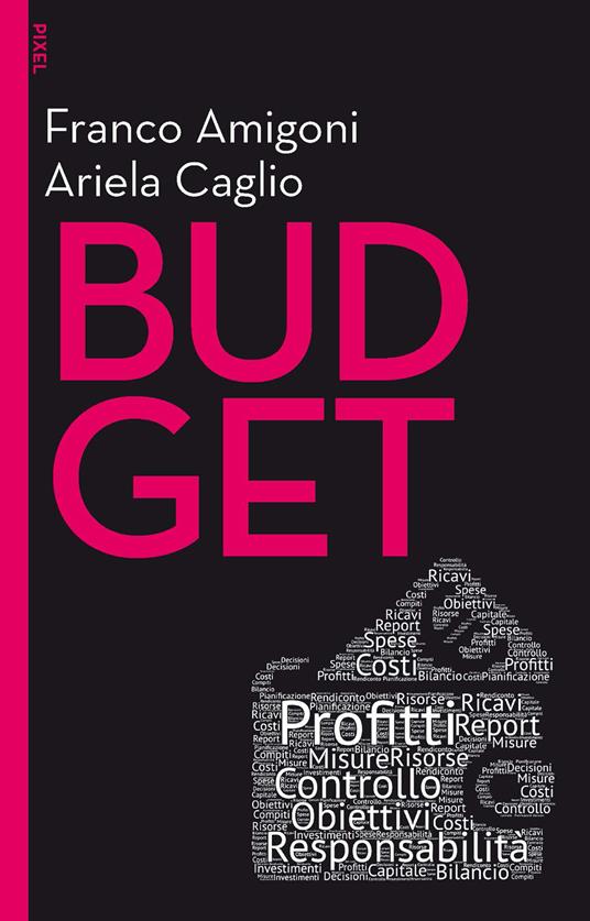 Budget - Franco Amigoni,Ariela Caglio - ebook
