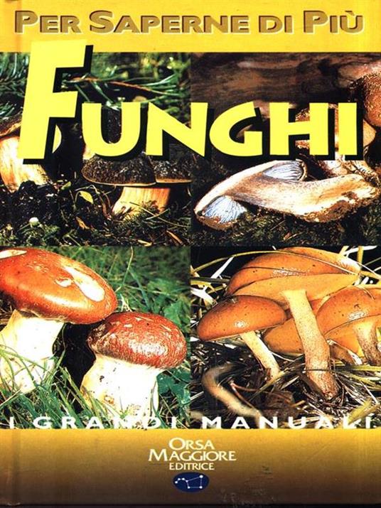 Funghi - Giovanni Pacioni - copertina