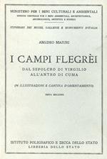 I campi Flegrei