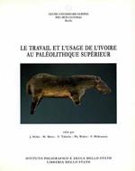 Le travail et l'usage de l'ivoire au paléolitique supérieur