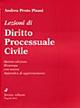 Lezioni di diritto processuale civile