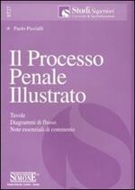 Il processo penale illustrato. Tavole, diagrammi di flusso, note essenziali di commento