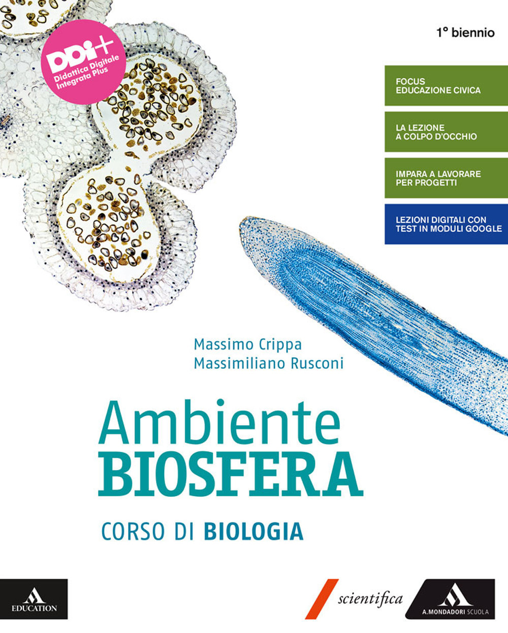 Libraccio