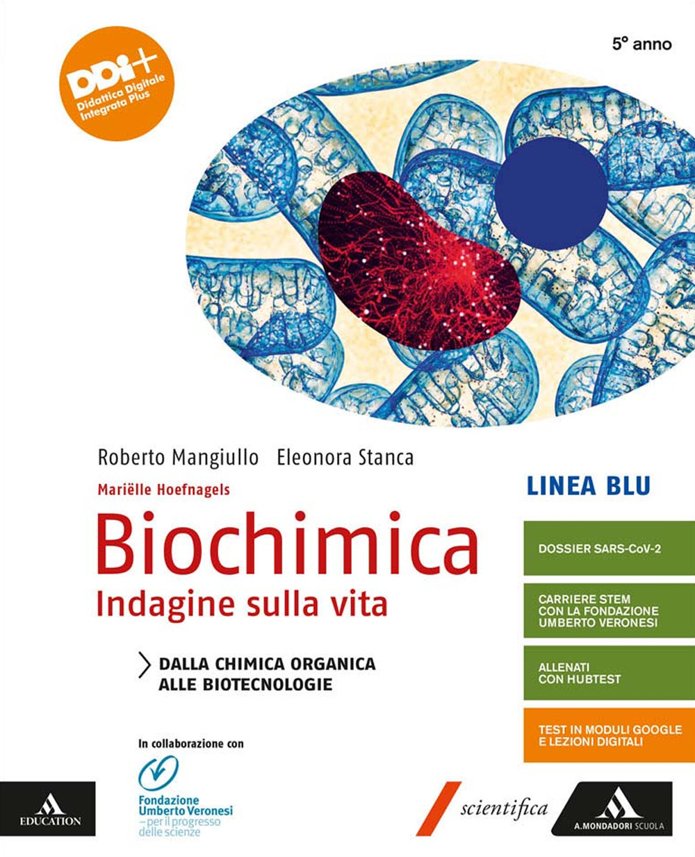 Libraccio