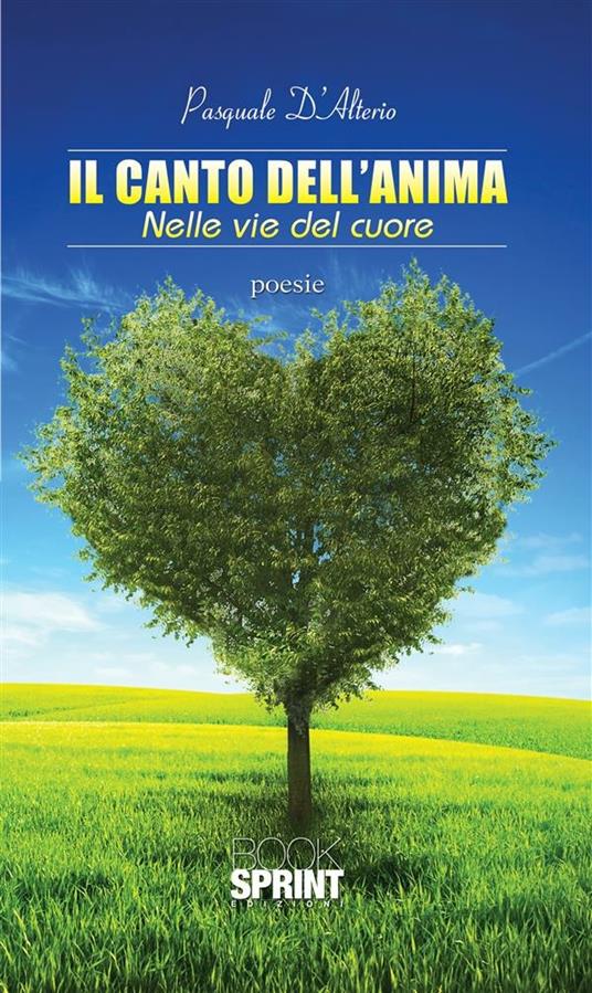 Il canto dell'anima. Nelle vie del cuore - Pasquale D'Alterio - ebook