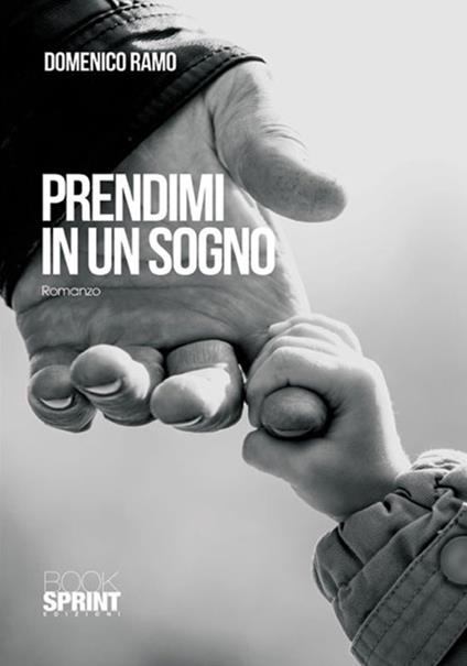 Prendimi in un sogno - Domenico Ramo - copertina