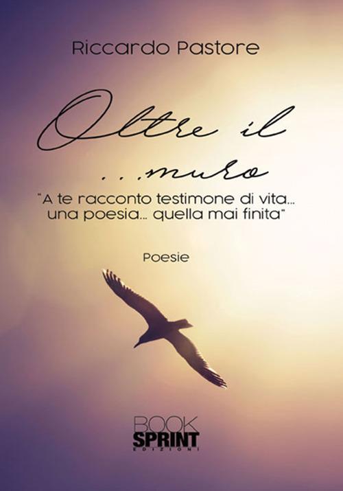 Oltre il... muro - Riccardo Pastore - copertina