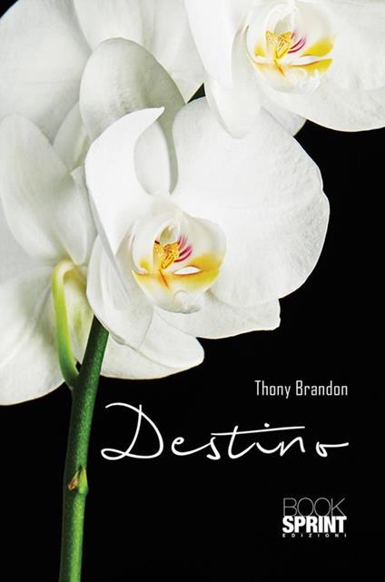 Destino - Thony Brandon - ebook