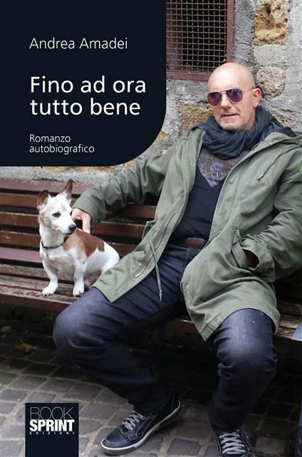 Fino ad ora tutto bene - Andrea Amadei - ebook