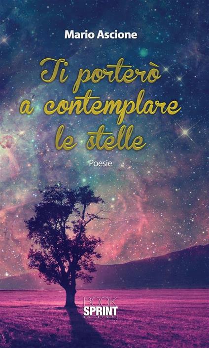 Ti porterò a contemplare le stelle - Mario Ascione - ebook