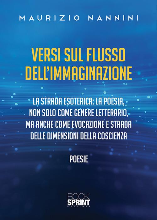 Versi sul flusso dell’immaginazione - Maurizio Nannini - copertina