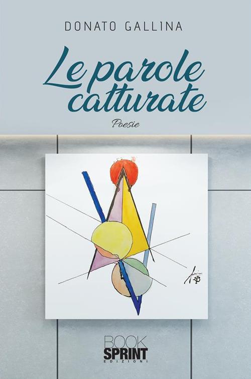 Le parole catturate - Donato Gallina - ebook