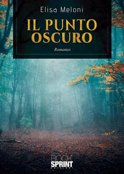 Il punto oscuro - Elisa Meloni - ebook