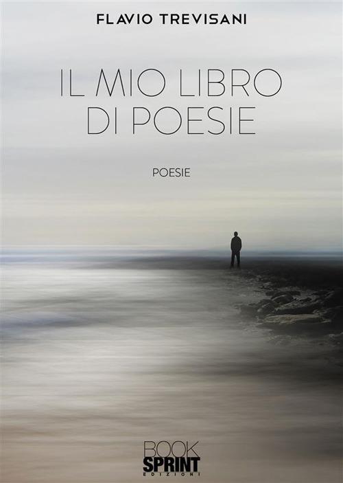 Il mio libro di poesie - Flavio Trevisani - ebook