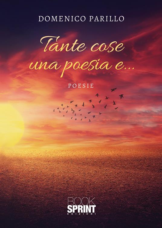 Tante cose una poesia e… - Domenico Parillo - copertina