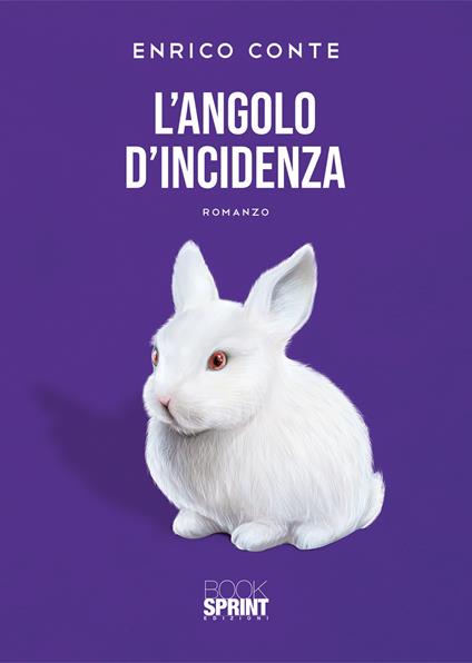 L'angolo d'incidenza - Enrico Conte - copertina
