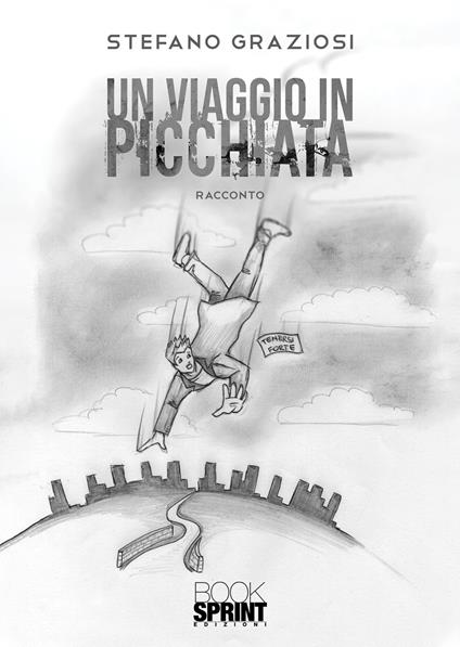 Un viaggio in picchiata - Stefano Graziosi - copertina