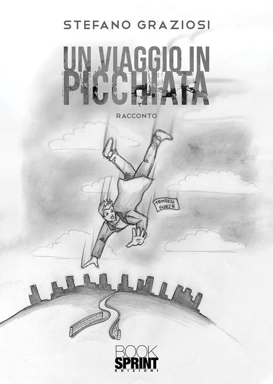 Un viaggio in picchiata - Stefano Graziosi - copertina