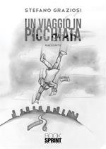 Un viaggio in picchiata