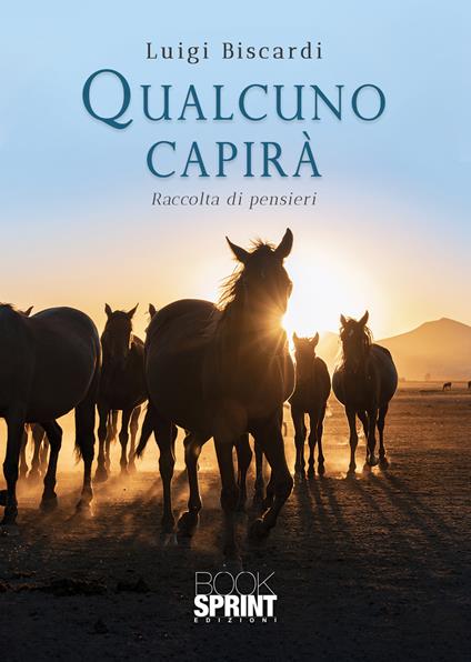 Qualcuno capirà - Luigi Biscardi - copertina