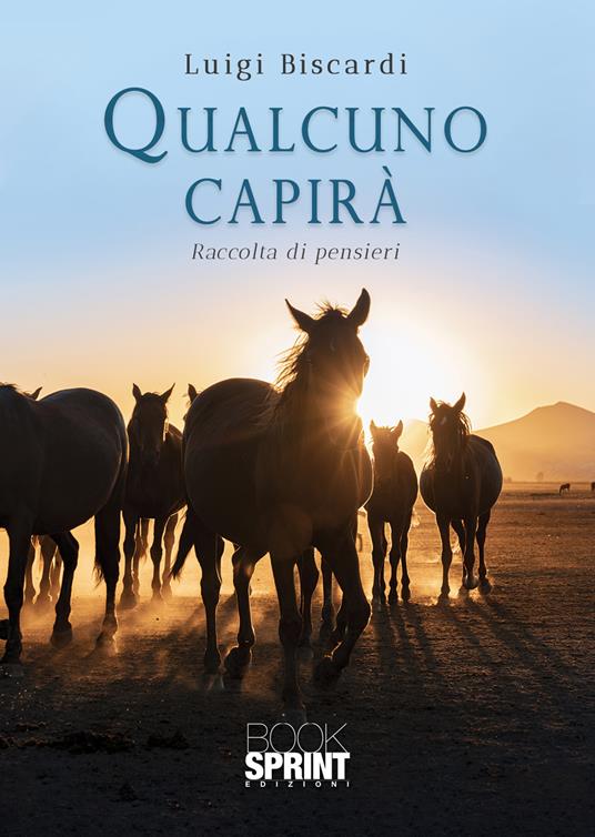 Qualcuno capirà - Luigi Biscardi - copertina
