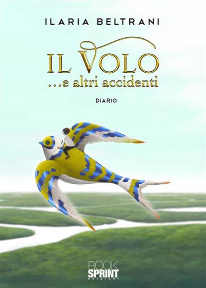 Il volo... e altri accidenti - Ilaria Beltrani - ebook