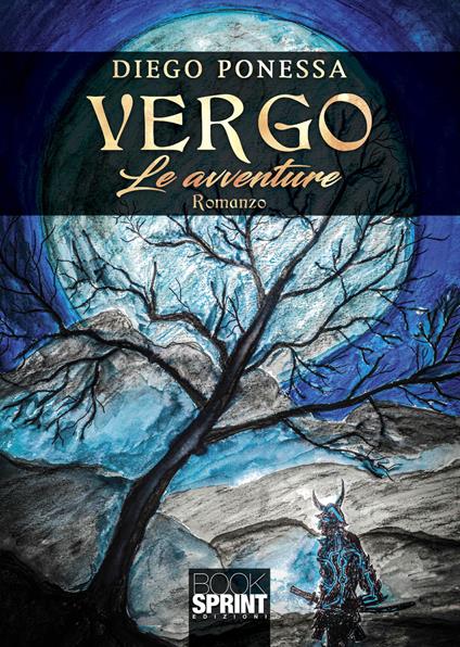 Vergo. Le avventure - Diego Ponessa - copertina