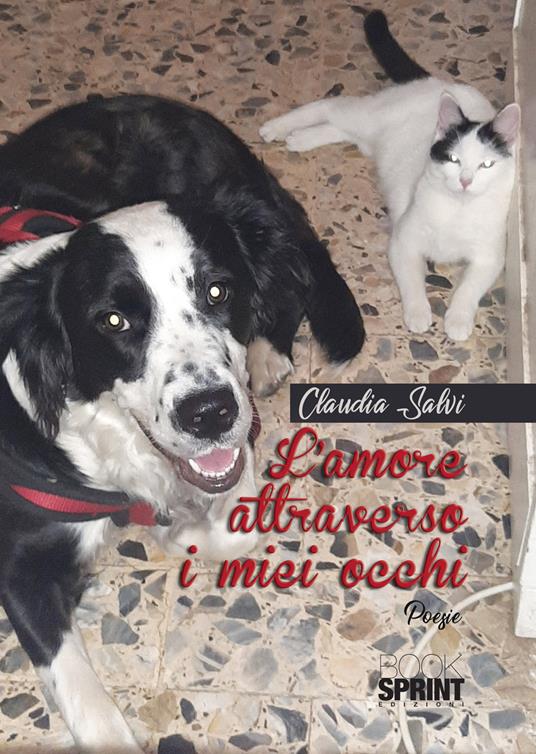 L'amore attraverso i miei occhi - Claudia Salvi - copertina