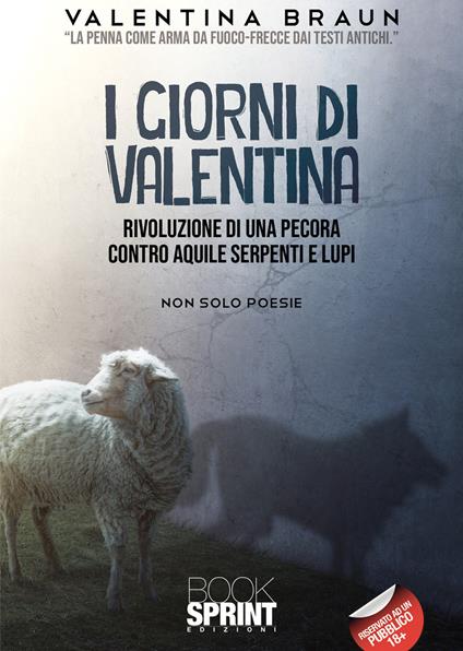I giorni di Valentina - Valentina Braun - copertina