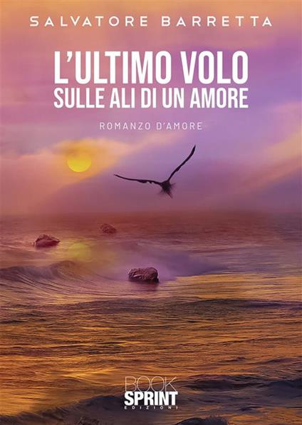 L' ultimo volo. Sulle ali di un amore - Salvatore Barretta - ebook