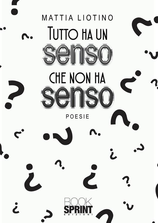 Tutto ha un senso che non ha senso - Mattia Liotino - copertina