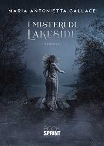 I misteri di Lakeside-image