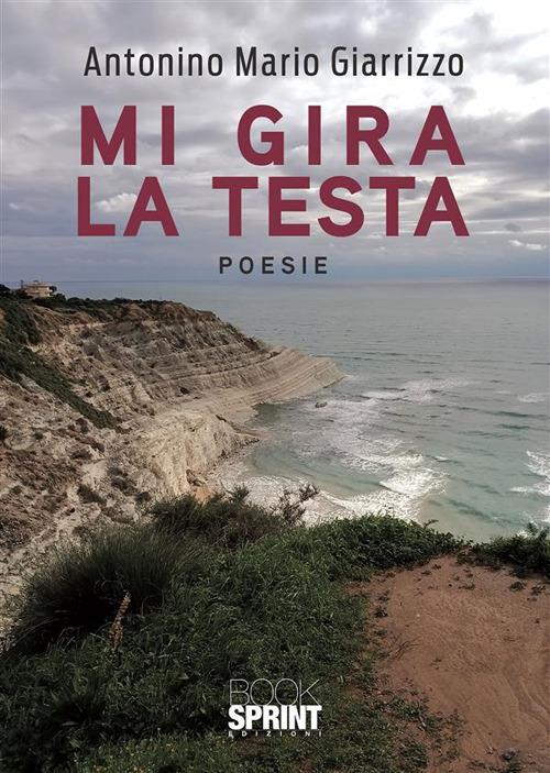 Mi gira la testa - Antonino Mario Giarrizzo - ebook