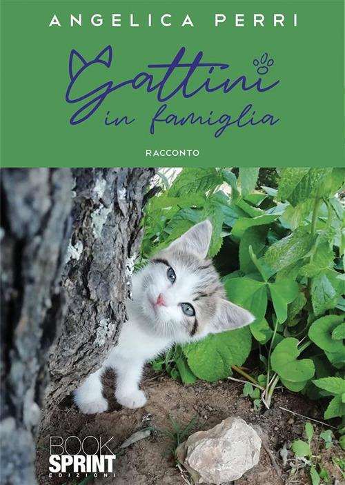 Gattini in famiglia - Angelica Perri - ebook