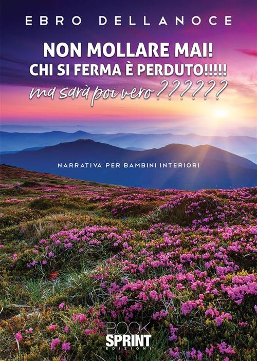 Non mollare mai! Chi si ferma è perduto! Ma sarà poi vero? - Ebro Dellanoce - copertina