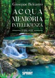Acqua Memoria Intelligenza-image