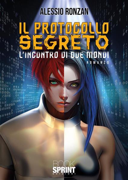 Il protocollo segreto. L'incontro di due mondi - Alessio Ronzan - ebook