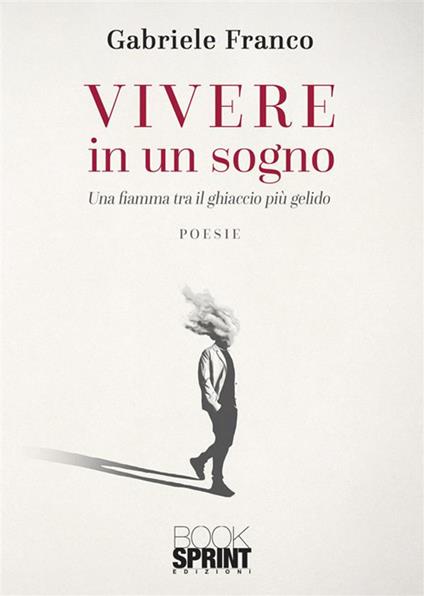Vivere in un sogno - Gabriele Franco - copertina