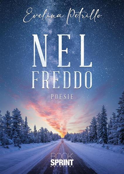 Nel freddo - Evelina Petrillo - copertina