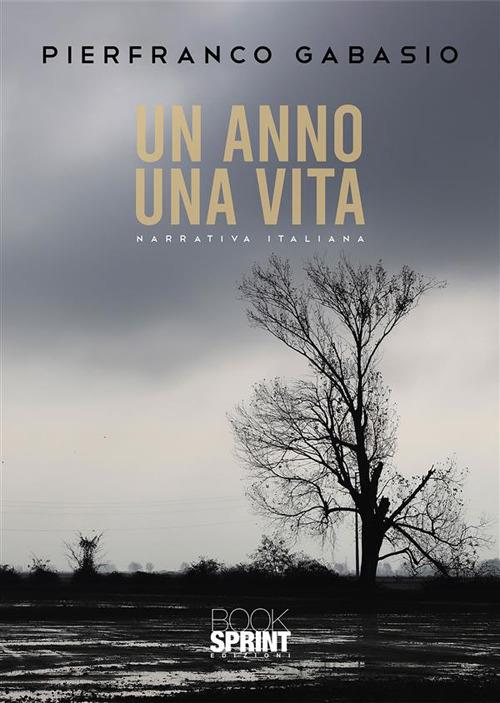 Un anno una vita - Pierfranco Gabasio - ebook