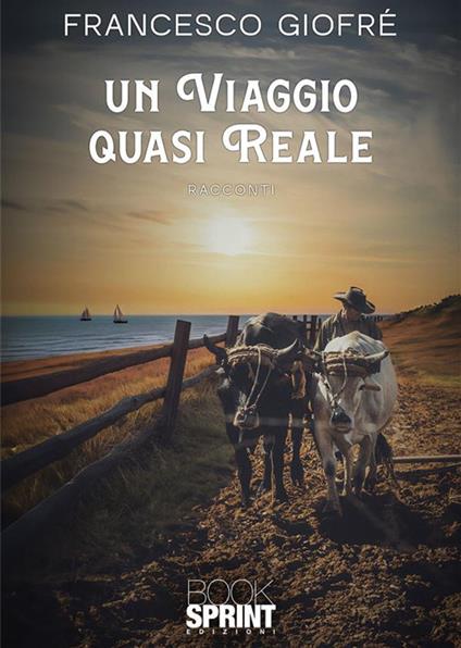 Un viaggio quasi reale - Francesca Giofrè - ebook