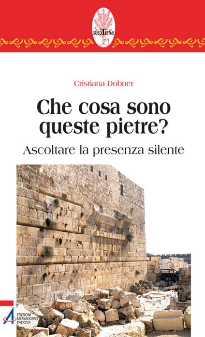 Che cosa sono queste pietre? Ascoltare la presenza silente - Cristiana Dobner - ebook