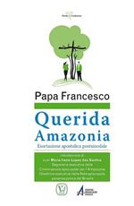 «Querida Amazonia». Esortazione apostolica postsinodale al popolo di Dio e a tutte le persone di buona volontà