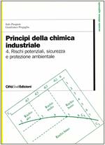 Principi della chimica industriale. Vol. 4: Rischi potenziali, sicurezza e protezione ambientale nell'Industria chimica.